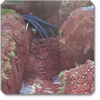 Overview of single drainfield trench